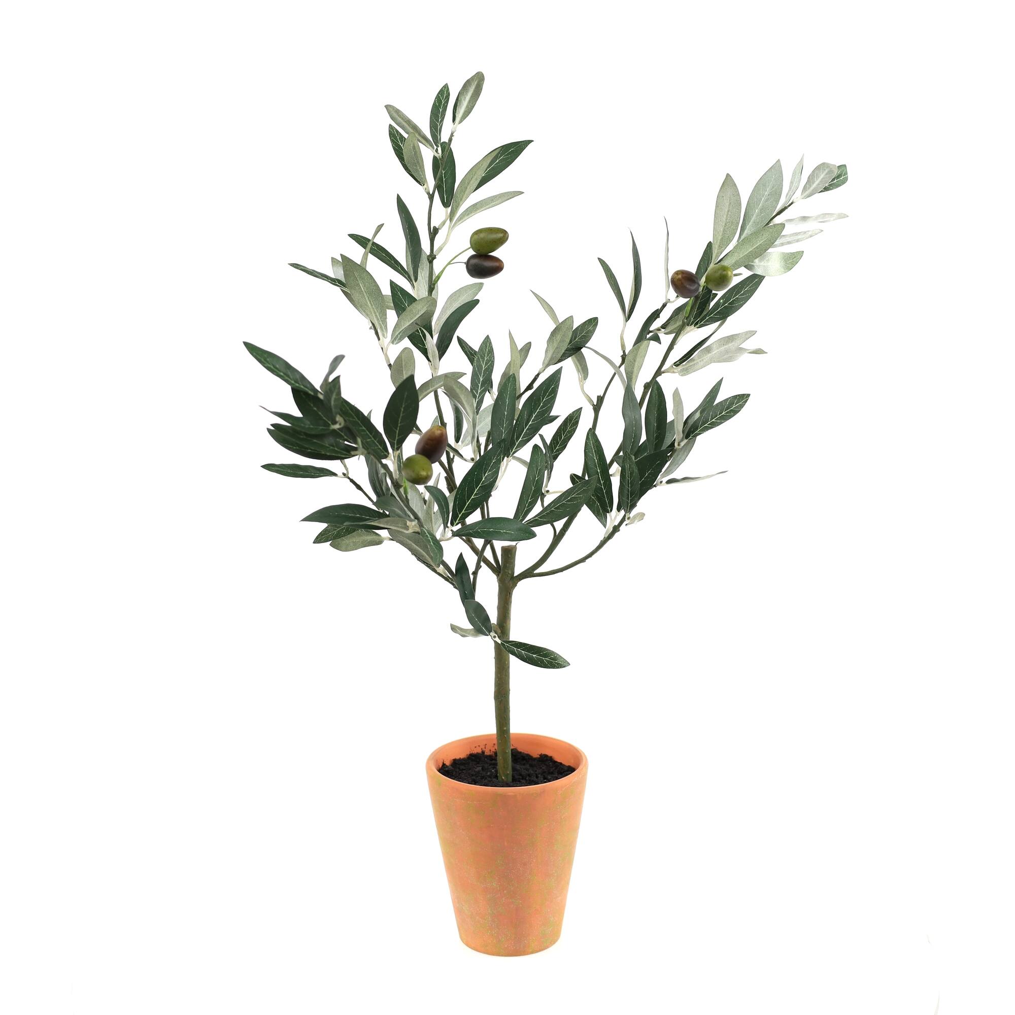 22" Potted Olive Tree Topiary